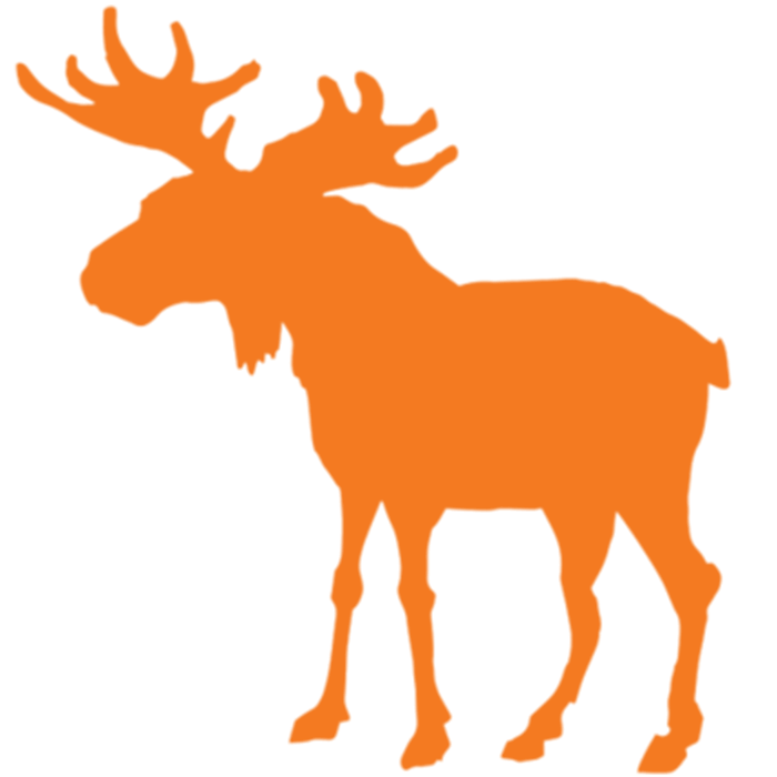 Bigmoose Logo